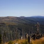 Mein nächstjähriger Rachelzustieg, ganz hinten der Hochwaldkamm