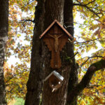 Vogelhäusl mit Schutzmarterl