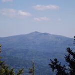 Der beste Rachelblick des Tages