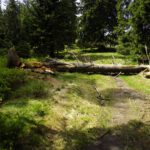 Warum wegräumen wenn die Wanderer an der Bruchstelle drübersteigen können?