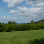 Es wird immer blauer