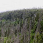 Gut strukturierte Seewand