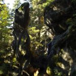 Der Alte Mann vom Kaitersberg