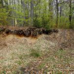 Ausgebaggert Ausgebaggert