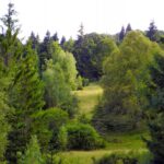 Jetzt könnte ich wieder Bedřich Smetana zitieren...