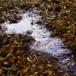 Loch Lomond im Miniformat Loch Lomond im Miniformat