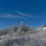 Weiße Tupfer am blauen Himmel