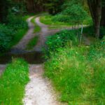 Autos und Radln werden nass...hehehe Autos und Radln werden nass...hehehe