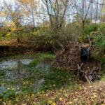 Teich mit Zelthügel