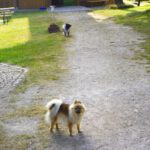 Herzlich willkommen!