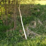 Natürlicher Wanderstock Natürlicher Wanderstock