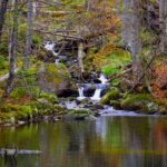 Klausenzufluss Klausenzufluss