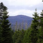 Ždánidla / Steindlberg