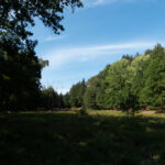 Einmündung des Höllgrabens