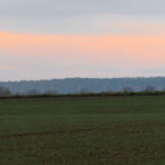 Erste Sonnenuntergangszeichen