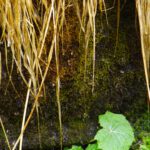 Tropfenimpressionen Tropfenimpressionen