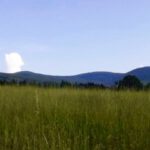 Rückblick auf die ganze Runde