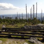 Dafür sind die Pilgerbankerln ganz schön verkommen