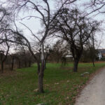 Im Sommer stehen hier hundert Biertische