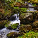 Vor einer Stunde war wohl etwas weniger Wasser unterwegs Vor einer Stunde war wohl etwas weniger Wasser unterwegs