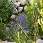 Auch hier gibt es ein bisserl plätscher Auch hier gibt es ein bisserl plätscher