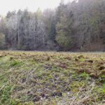 Umgeackert Umgeackert