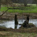 Zwei Türme in der Pegnitz