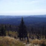 Geniale Aussicht Richtung Deggendorf