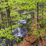 An einer Stelle geht es ziemlich steil zum Bach hinunter An einer Stelle geht es ziemlich steil zum Bach hinunter