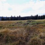 Gehört diese Ruine noch zu Gsenget oder schon zu Obersteindlberg?