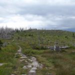 Rückblick vom Grenzsteig