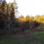 Das Ende der Abkürzung Das Ende der Abkürzung