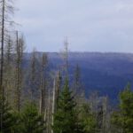 Debrník / Lackenberg