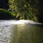 Neualbenreuther Dorfspringbrunnen