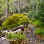 Kurzhaarfrisur Kurzhaarfrisur