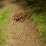 Von der Spitze gestürzt