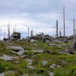 Stifter-Dachl voraus