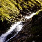 Fröhliches Rauschen