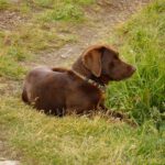 Satt aber trotzdem wachsam