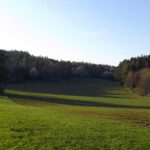 Die Saat ist aufgegangen Die Saat ist aufgegangen