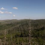 Der Hochwaldkamm in seiner ganzen Pracht