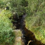 Grenzbach (streng genommen ebenfalls der Prášilský potok)