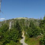 ...und unten ...und unten