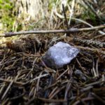 Nimmst Du mich bitte mit?