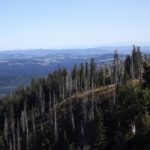 Im Hintergrund die Alpen