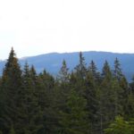 Ganz links zeigt sich Rovina