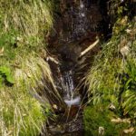 Es plätschert wieder