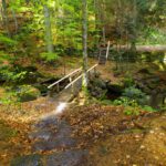 Die letzte Brücke Die letzte Brücke