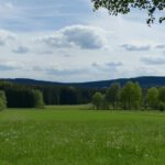 Wiesenlandschaft bei Friedrichshäng