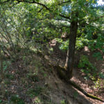 Die unvermeidliche Altstraße